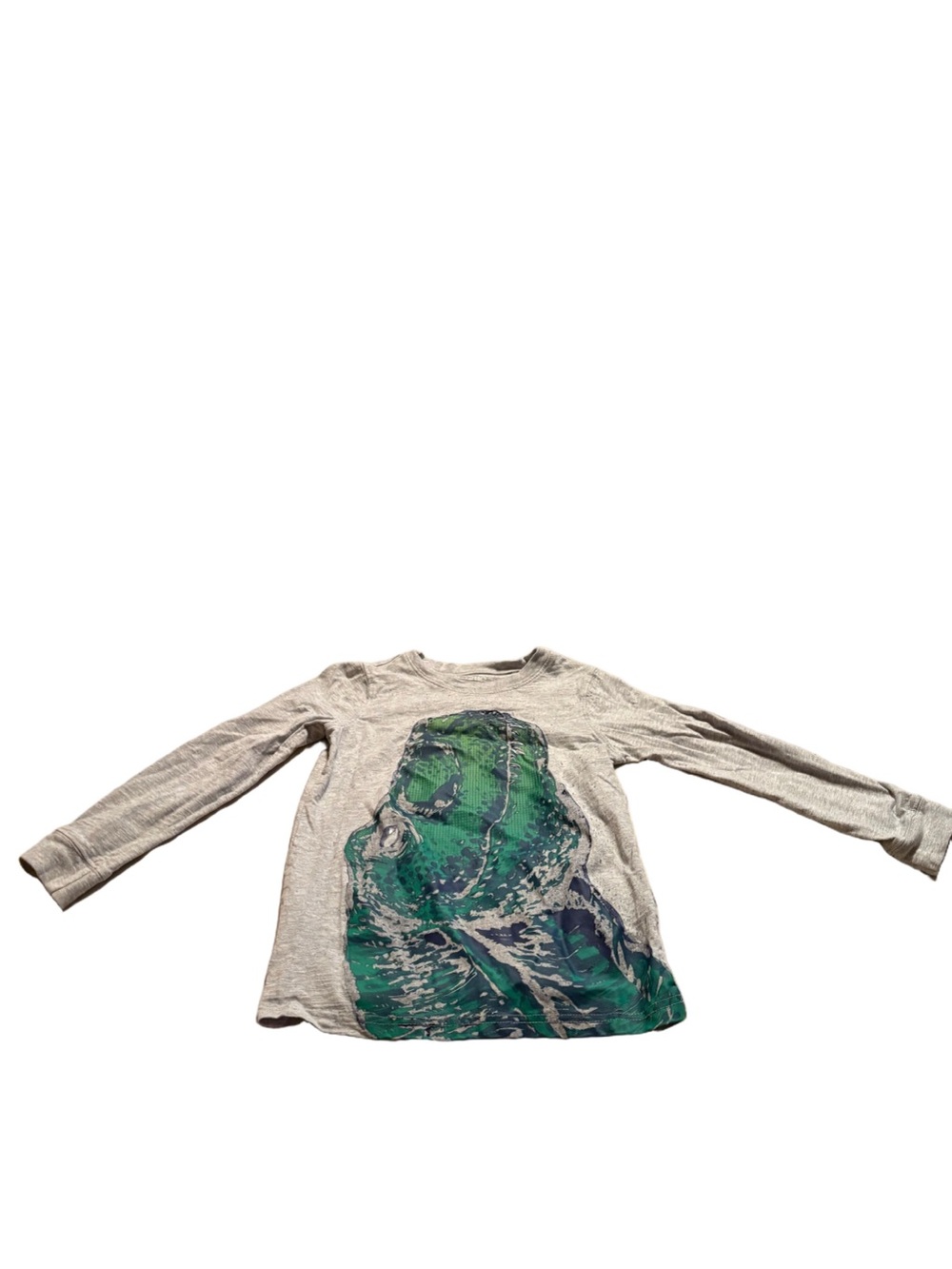 Kids Carter's Long-Sleeve Graphic Shirt with Green Dinosaur Print Size 8